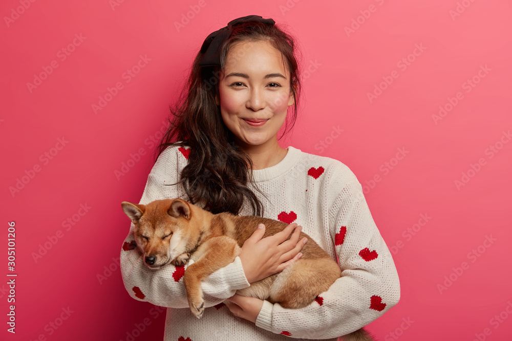Delighted brunette Asain woman poses with sleeping shiba inu dog, dressed in casual sweater, enjoys sweet moment with pet, poses against pink background. Owner and animal relation. Vetertinary health Delighted brunette Asain woman poses with sleeping shiba inu dog, dressed in casual sweater, enjoys sweet moment with pet, poses against pink background. Owner and animal relation. Vetertinary health