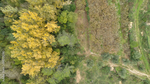 Colores de otoño - Otoñal