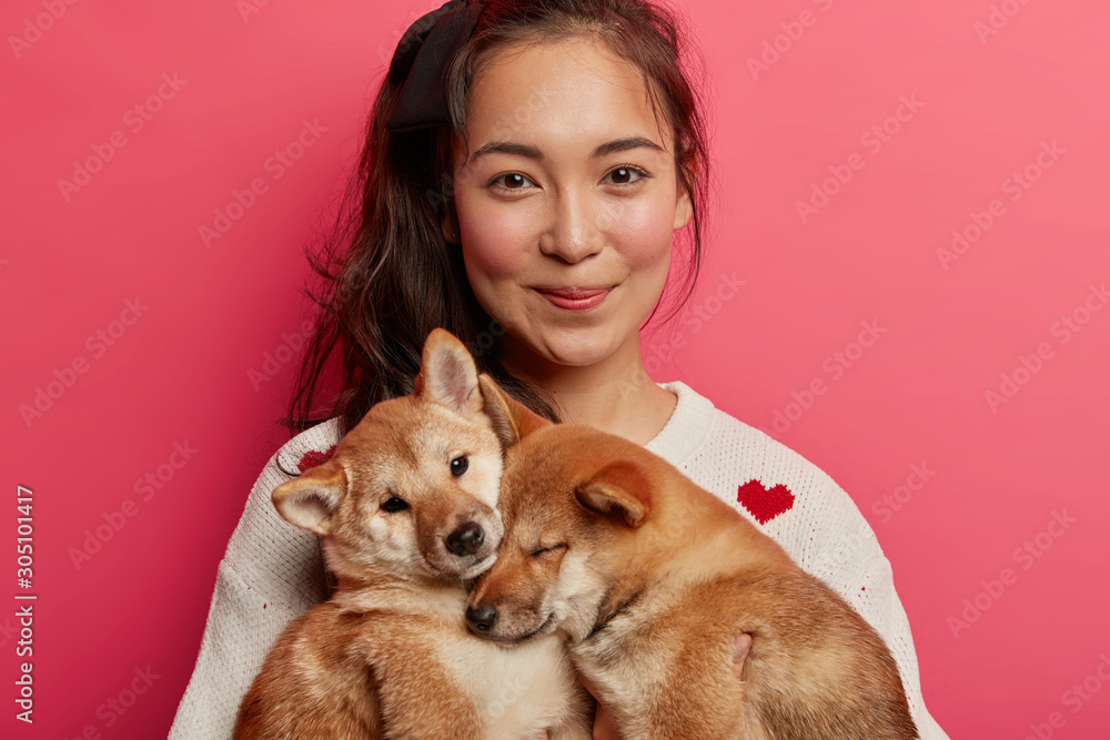 Cropped shot of pretty woman looks gladfully at camera, poses with two small beautiful shiba inu dogs who sleep on her hands, being good friends. Pet care concept. Heart warming photo with animals Cropped shot of pretty woman looks gladfully at camera, poses with two small beautiful shiba inu dogs who sleep on her hands, being good friends. Pet care concept. Heart warming photo with animals
