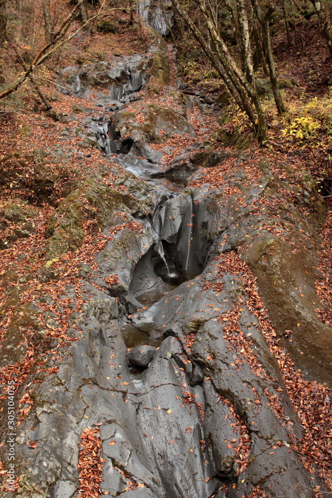 Obraz premium It is getting so autumn here.