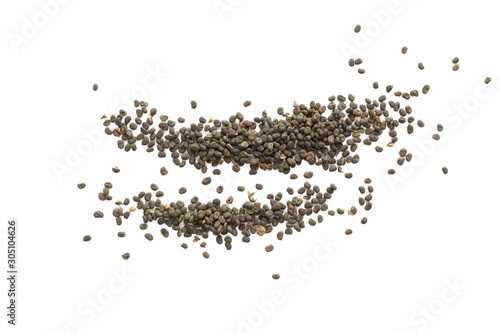 Babchi dry whole seeds in lines isolated on white background. Bakuchiol concept. Design template.