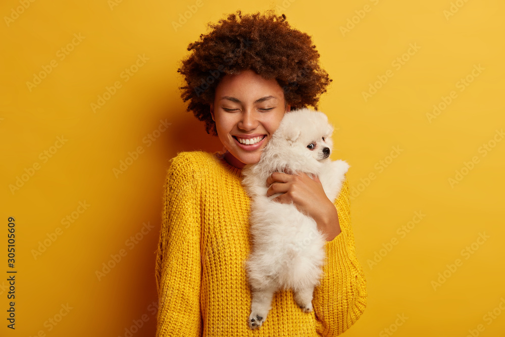 Sweet shot of cheerful Afro woman embraces with big love her flully white spitz dog, visit professional veterinarian, pose togeher in studio against yellow wall. Love to animals. Pet after grooming Sweet shot of cheerful Afro woman embraces with big love her flully white spitz dog, visit professional veterinarian, pose togeher in studio against yellow wall. Love to animals. Pet after grooming