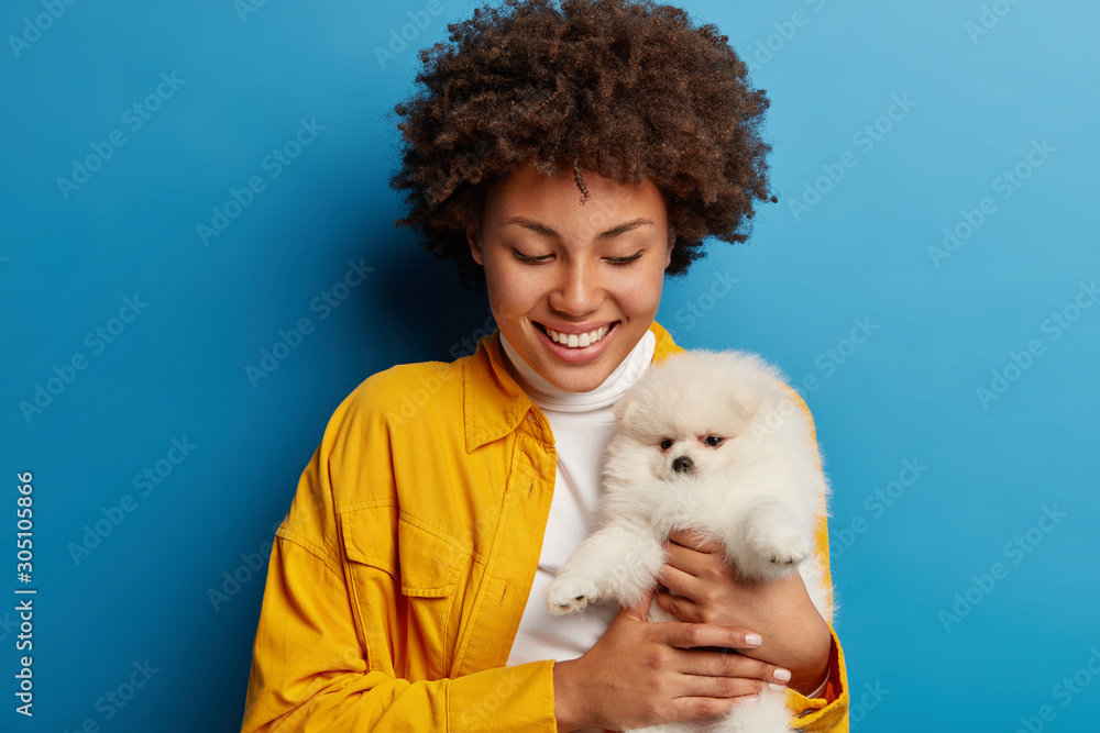 Portrait of pretty young girl with natural curly hair, plays with spitz dog, have active lifestyle and regular outdoor walks. Woman expresses love and care to pet. Dog walking. Animal grooming Portrait of pretty young girl with natural curly hair, plays with spitz dog, have active lifestyle and regular outdoor walks. Woman expresses love and care to pet. Dog walking. Animal grooming