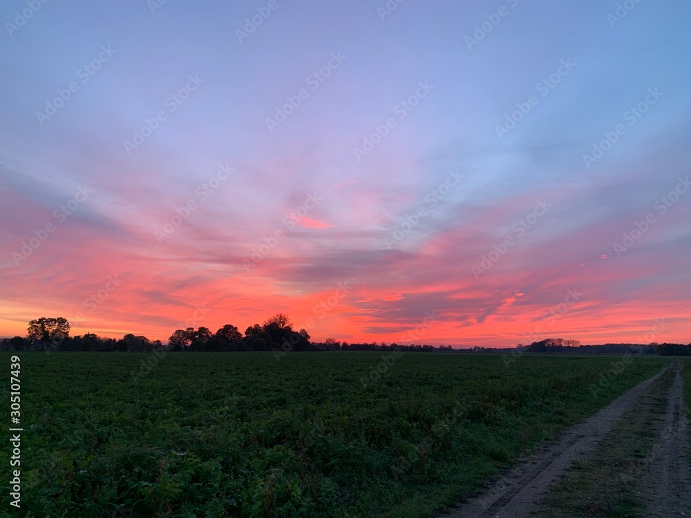 Obraz premium sunset over green field