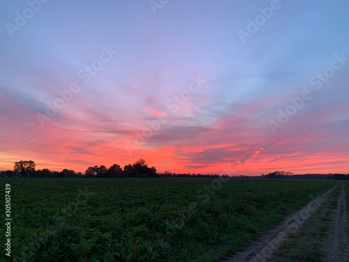 Fototapeta Naklejka Na Ścianę i Meble -  sunset over green field