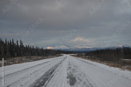 pine trail in winter © SUMOR