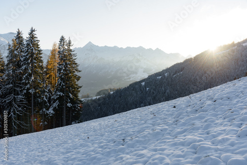 View of the mountain Kitzsteinhorn in winter with trees in the foreground. View from Keilberg, Schmittenhöhe, Zell am See, Salzburger Land, Austria.