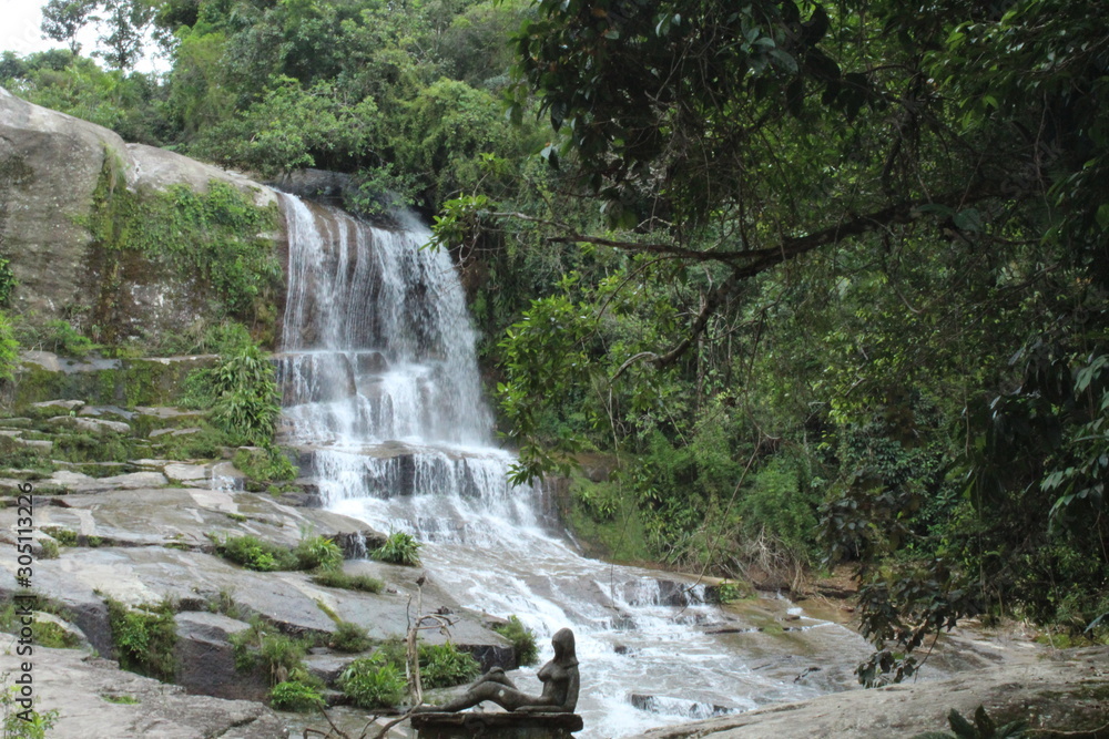 Fototapeta premium waterfall in forest