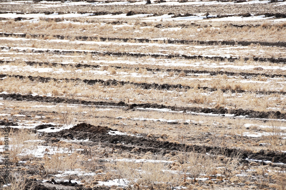 Terraced Field in Winter