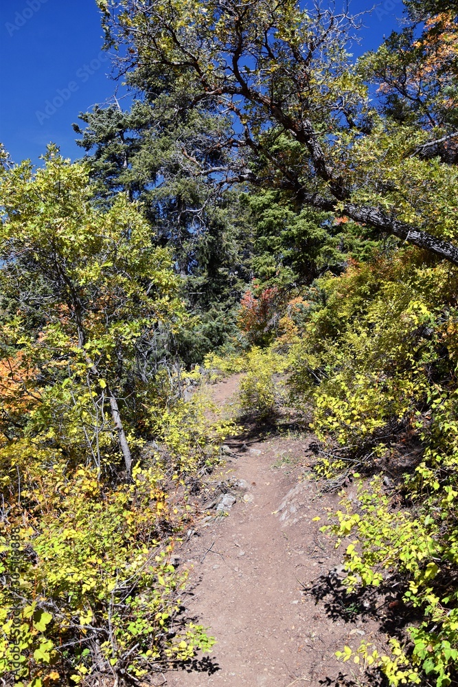 Hiking path views in Oquirrh Mountains with fall leaves along the Wasatch Front Rocky Mountains, by Kennecott Rio Tinto Copper mine, Tooele and the Great Salt Lake Valley, Utah, United States. Hiking path views in Oquirrh Mountains with fall leaves along the Wasatch Front Rocky Mountains, by Kennecott Rio Tinto Copper mine, Tooele and the Great Salt Lake Valley, Utah, United States.