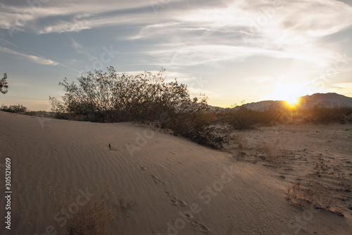 Mojave desert sand dune landscape. Kelso Dunes. Animal tracks observed while the sun is rising over the mountains. 