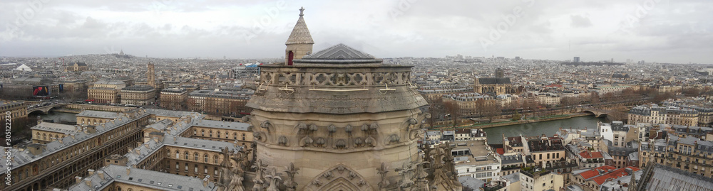 Wide top view from Notre Damme roof in Paris, Christmas. Montage 2018, 