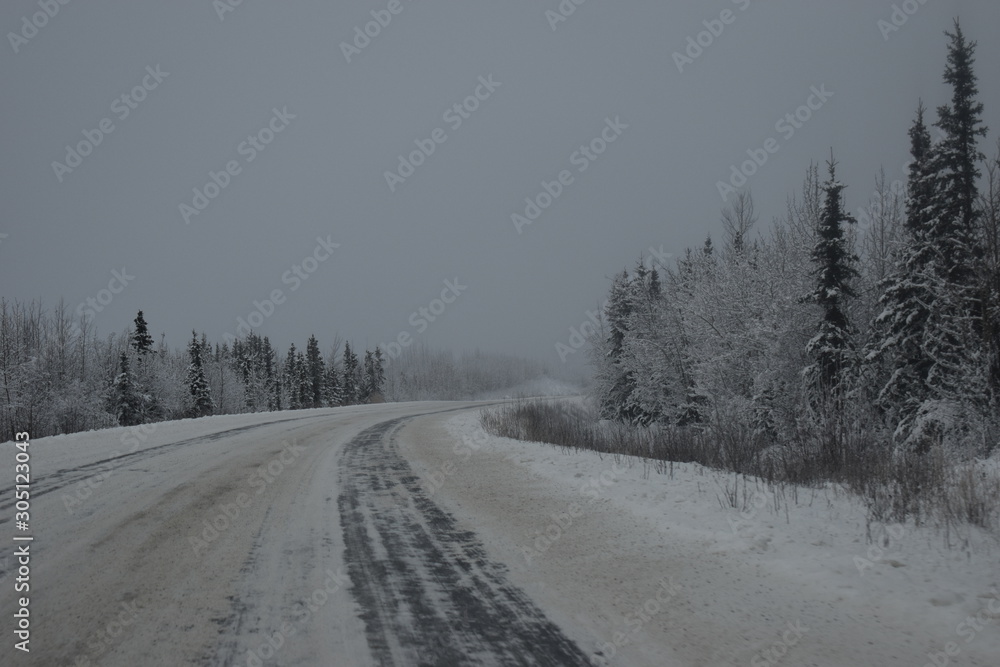 carretera en invierno entre bosque nevado