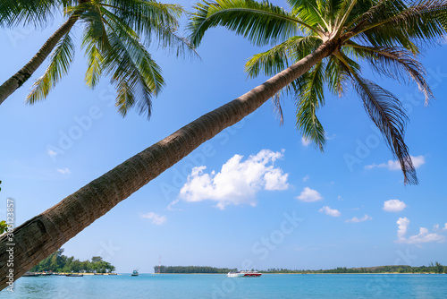 Coconut palm tree frame with beautiful tropical sea scenery background in phuket thailand concept summer holiday background