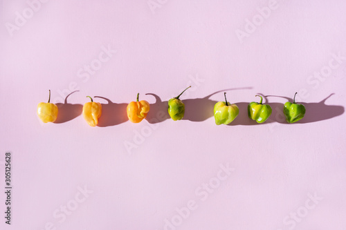 orange and green habanero peppers on pink background photo