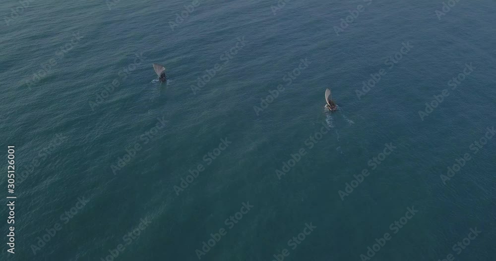 Traditional dhow sailboat sailing on the Indian ocean on the Swahili coast filmed with a drone, Tanzania.