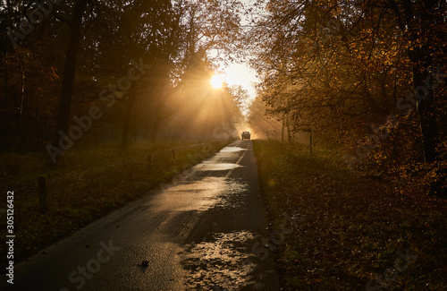 Silhouette of a car driving on rural road against the sunset in Luneburg Heath near Wilsede, Germany
