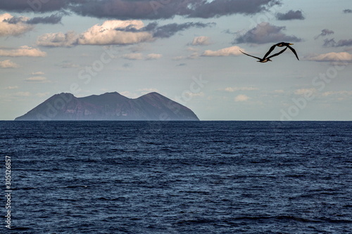 鳥島 photo