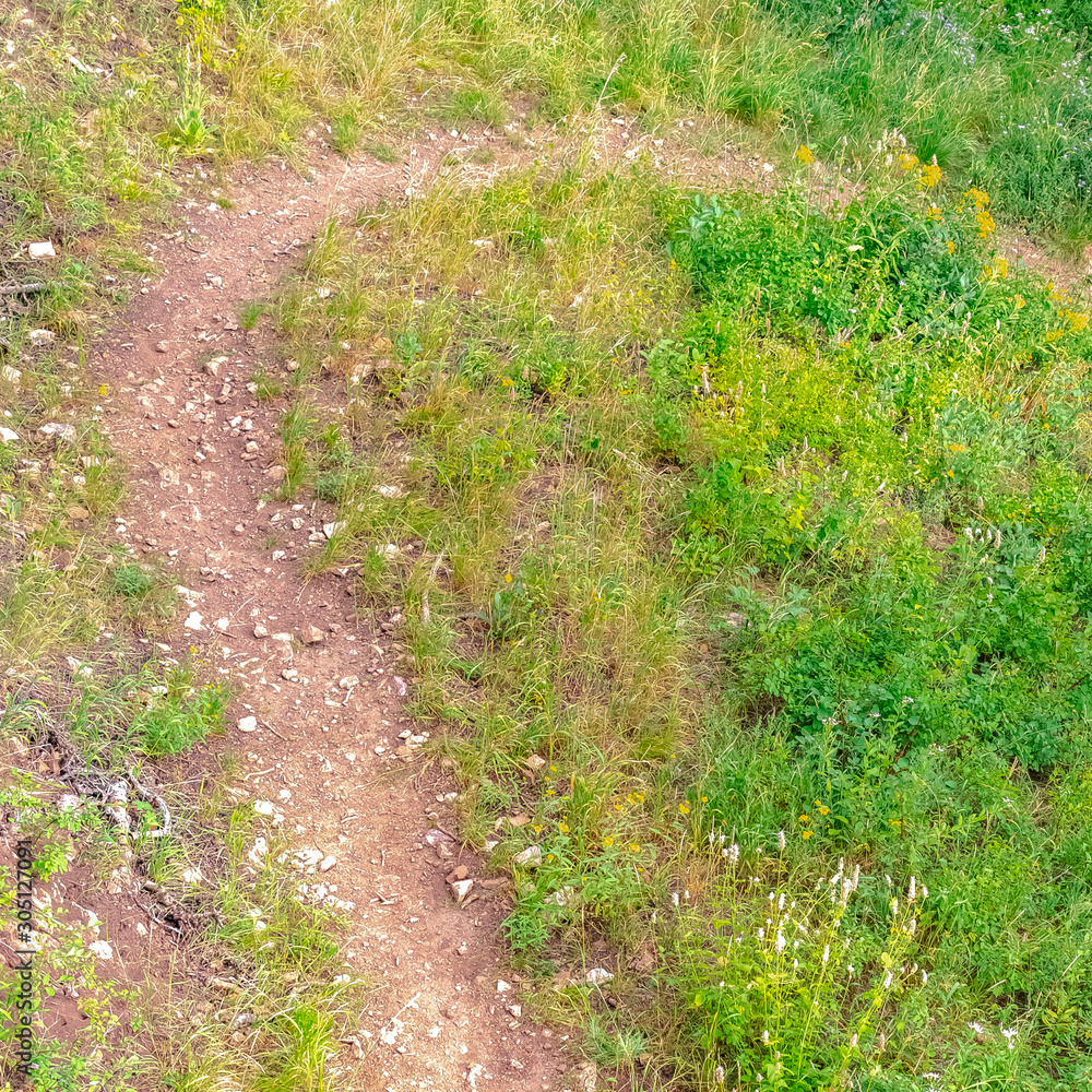 Obraz premium Square Close up of a dirt trail in the mountain of Park City Utah on a sunny summer day