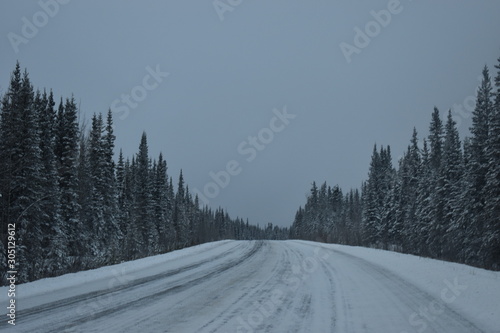 carretera en invierno entre bosque nevado © SUMOR