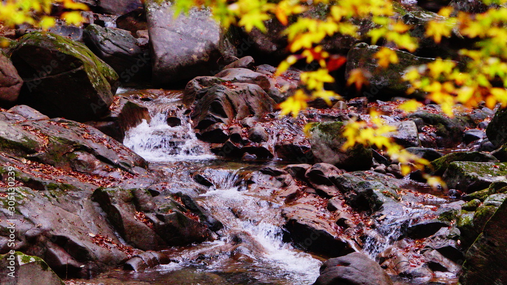 秋の赤目四十八滝