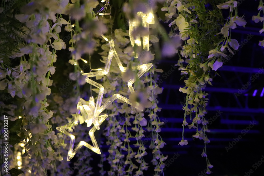 Obraz premium stars and plants