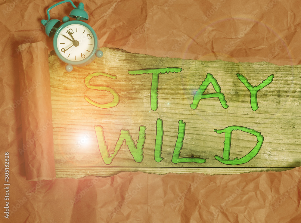 Writing note showing Stay Wild. Business concept for keep being you and doing what you re doing Never want to change Alarm clock and torn cardboard on a wooden classic table backdrop Writing note showing Stay Wild. Business concept for keep being you and doing what you re doing Never want to change Alarm clock and torn cardboard on a wooden classic table backdrop