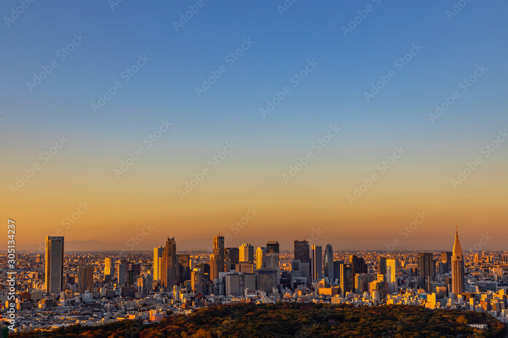 Fototapeta premium 東京新宿の風景Scenery of Japan in Tokyo Shinjuku