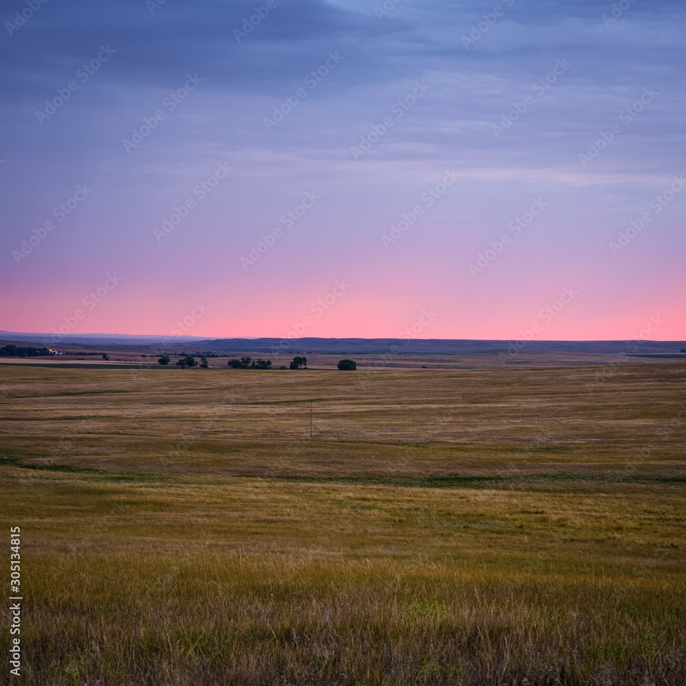 Obraz premium Grassland