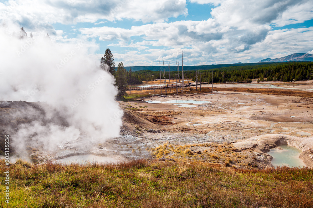 Fototapeta premium geyser in yellowstone national park