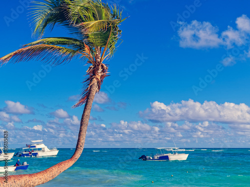 Beautiful tropical scene with palm trees in the foreground and boats in the ocean or sea in the background.