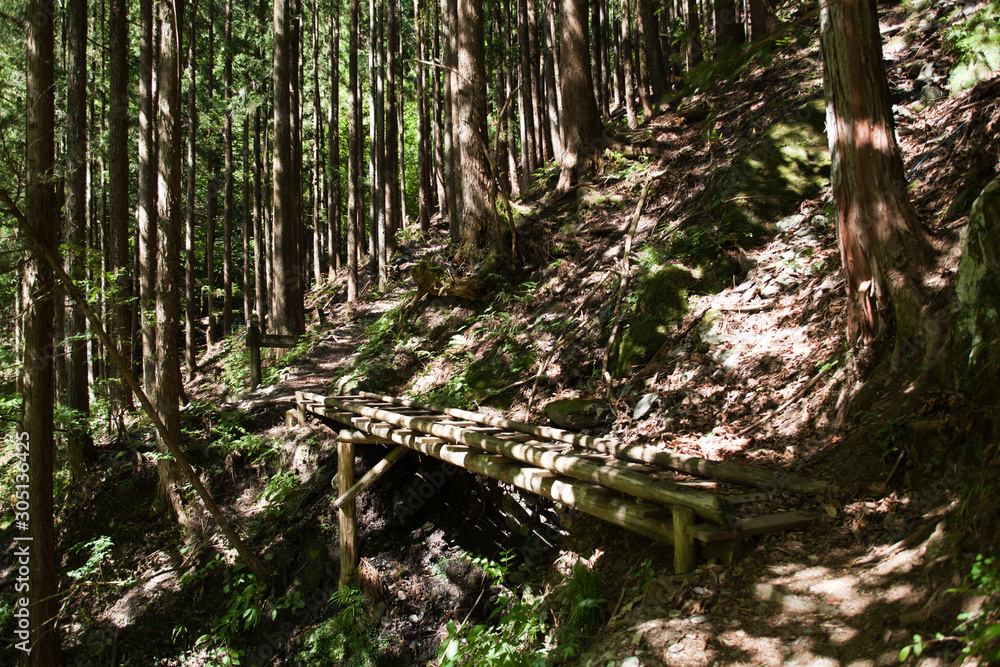 Fototapeta premium 鷹ノ巣山、山道の橋
