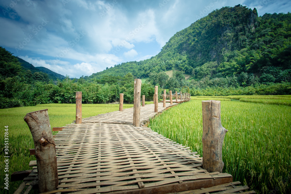 Bamboo bridge, a walking way pararell with the green rice field in Asian country
