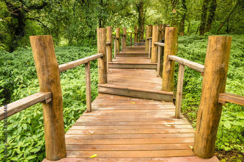 Ang ka nature trail in Doi Inthanon national park , Chiang mai , Thailand.