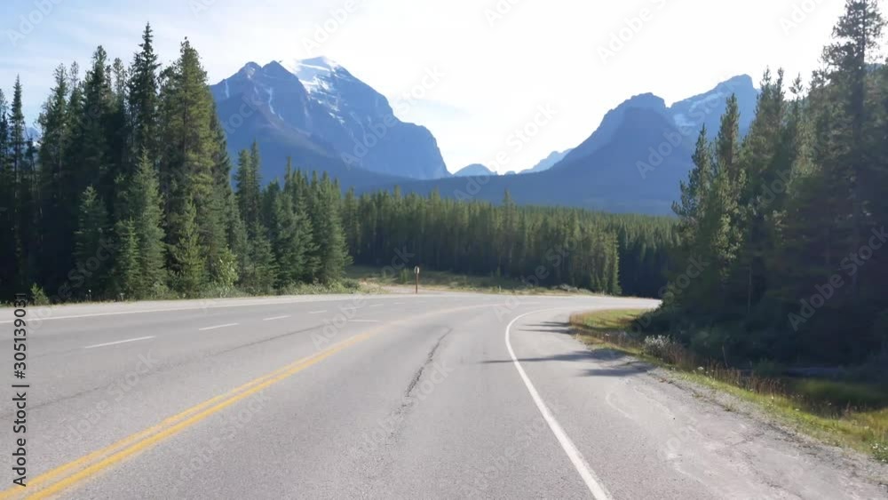 view from the moving car while driving along the local natural way to moraine lake in canada with natural view of Mountain range and pine tree forest in summer holiday view from the moving car while driving along the local natural way to moraine lake in canada with natural view of Mountain range and pine tree forest in summer holiday