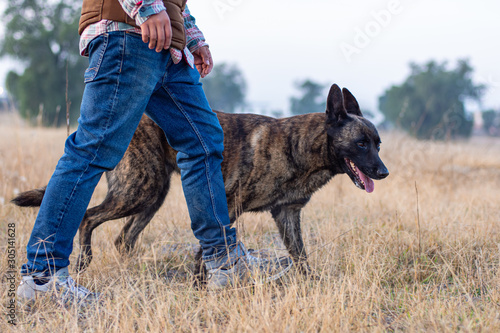 Fotografie A young man is walking beside his dutch shepherd dog at meadow in the countrysid