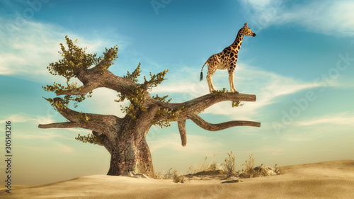 Fototapeta Żyrafa na drzewie. To jest ilustracja renderowania 3D