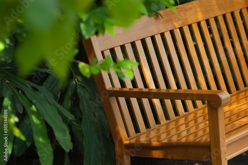 bench in the summer park