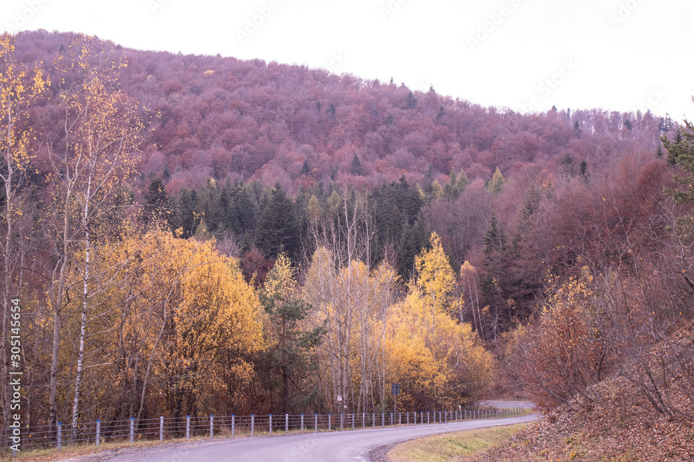 Bieszczady