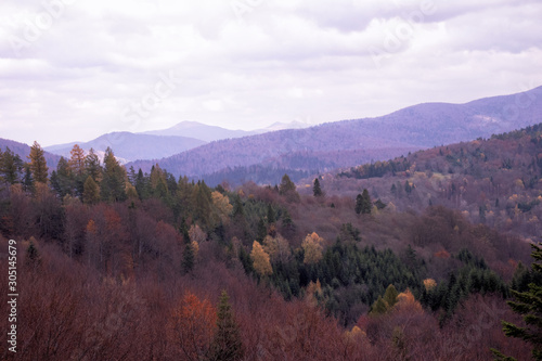 Obraz na płótnie Bieszczady w salonie