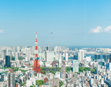  The most beautiful Viewpoint Tokyo tower in tokyo city ,japan.