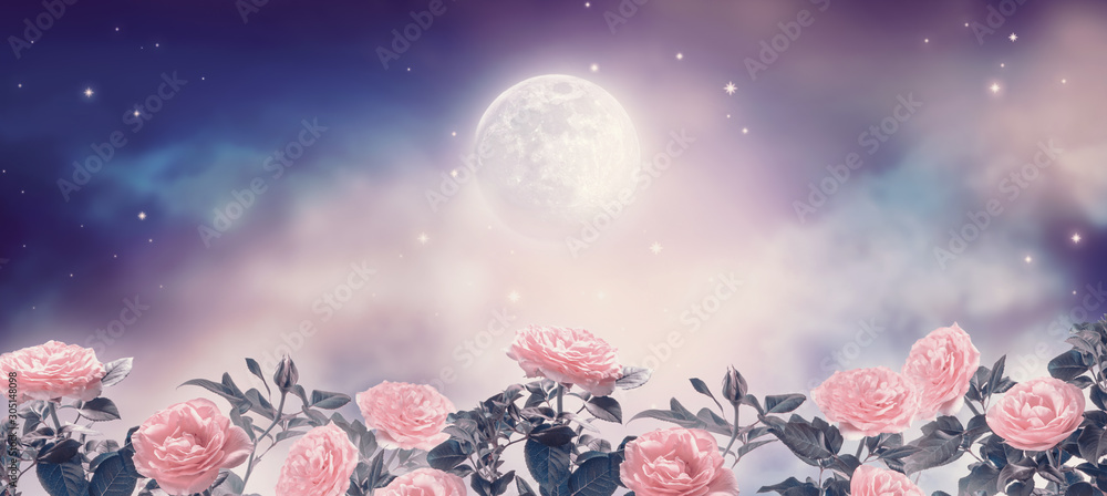Fairytale fantasy photo background of magical deep blue dark night sky ...