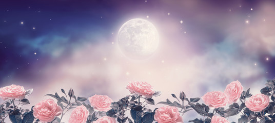 Fairytale fantasy photo background of magical deep blue dark night sky with shining stars, glowing full moon and beautiful fairy pink rose flower garden. Idyllic tranquil fabulous panoramic scene.