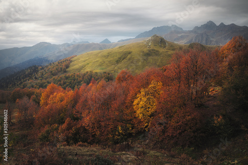 colorful autumn forest in the mountains on a cloudy day