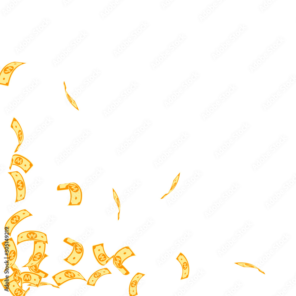 Fototapeta premium Korean won notes falling. Sparse WON bills on whit