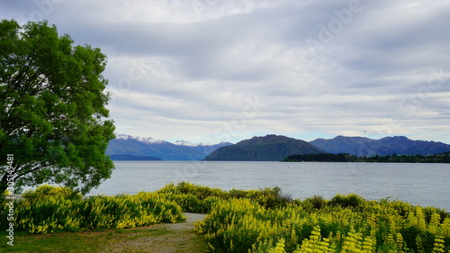 Beautiful view in a spring time in Wanaka Lake, New Zealand