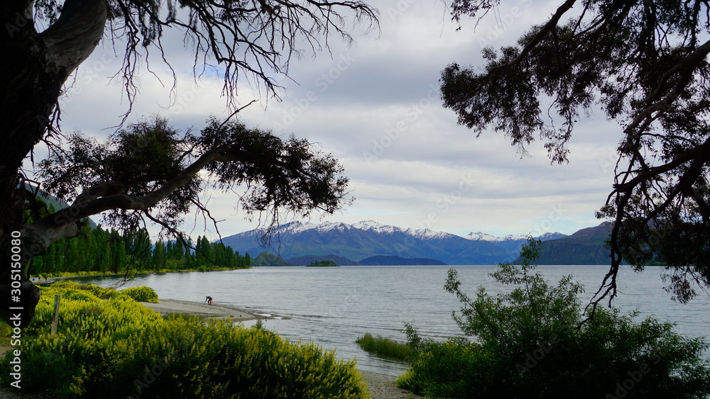 Beautiful view in a spring time in Wanaka Lake, New Zealand