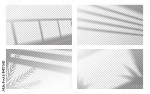 Realistic window shadow. Window frame and louvers with with tropical leaves, window light effect. Vector transparent shadows image set, reflected on wall or floor of room, on transparent background