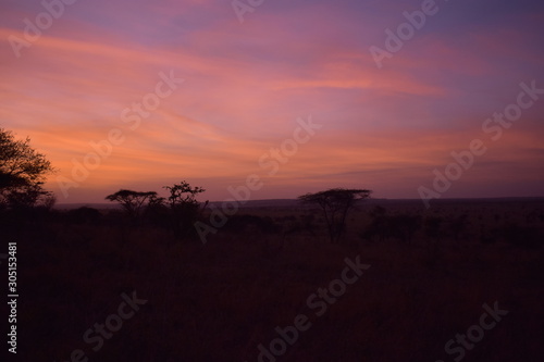 African Sunrise © Jack