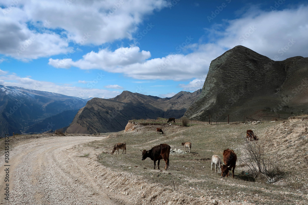Wild Caucasus mountains landscape near Arakani village, Dagestan, Russia